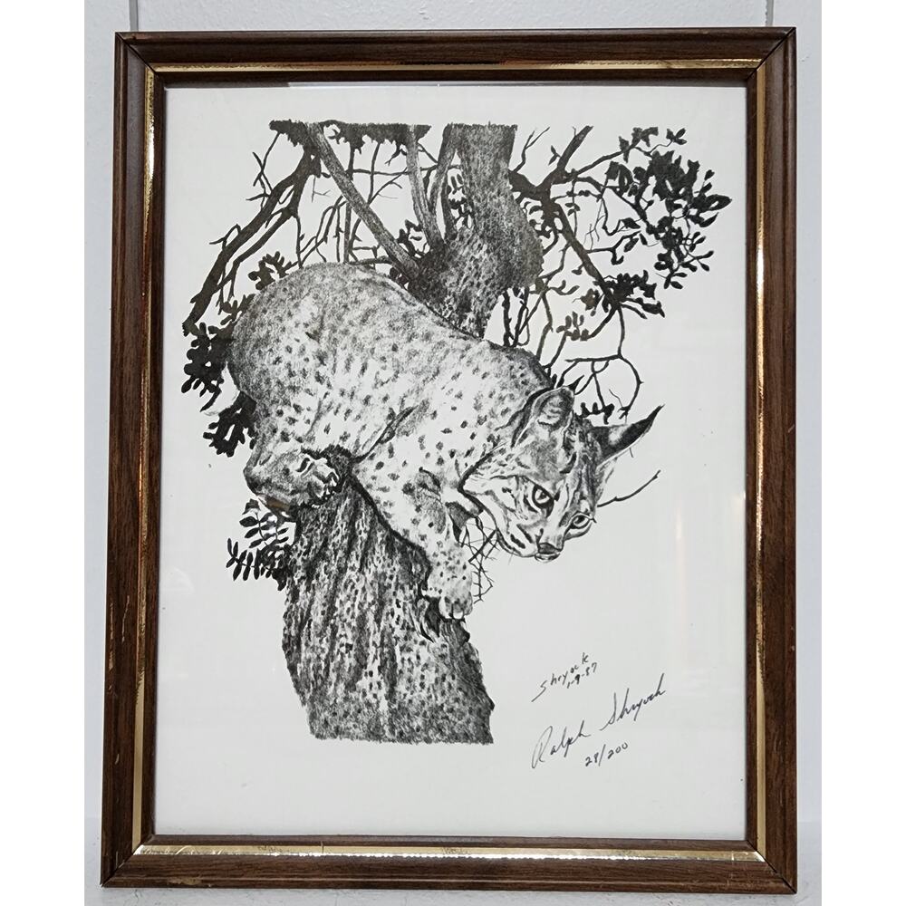 1987 Ralph Shryock Wildlife Print 28/500 Signed Framed Bobcat Drawing 8x10